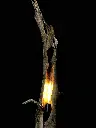 IMG_5403.webp
