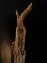 IMG_5407(1).webp