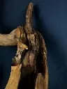 Balance (3).webp