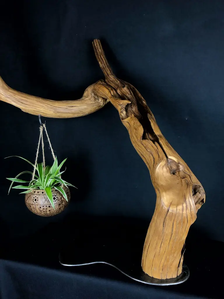 Balance (5).webp