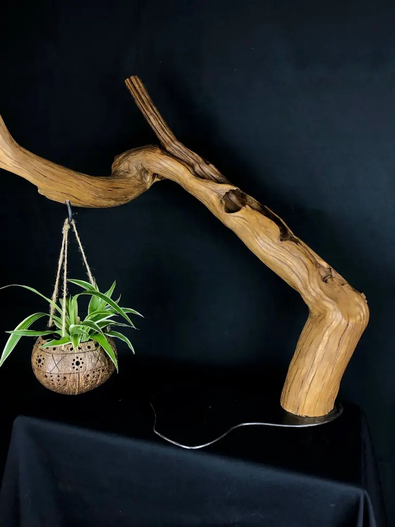 Balance (6).webp