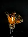 Magma (1).webp