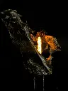 Magma (3).webp