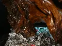 emancip (1).webp