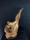 Saxo
