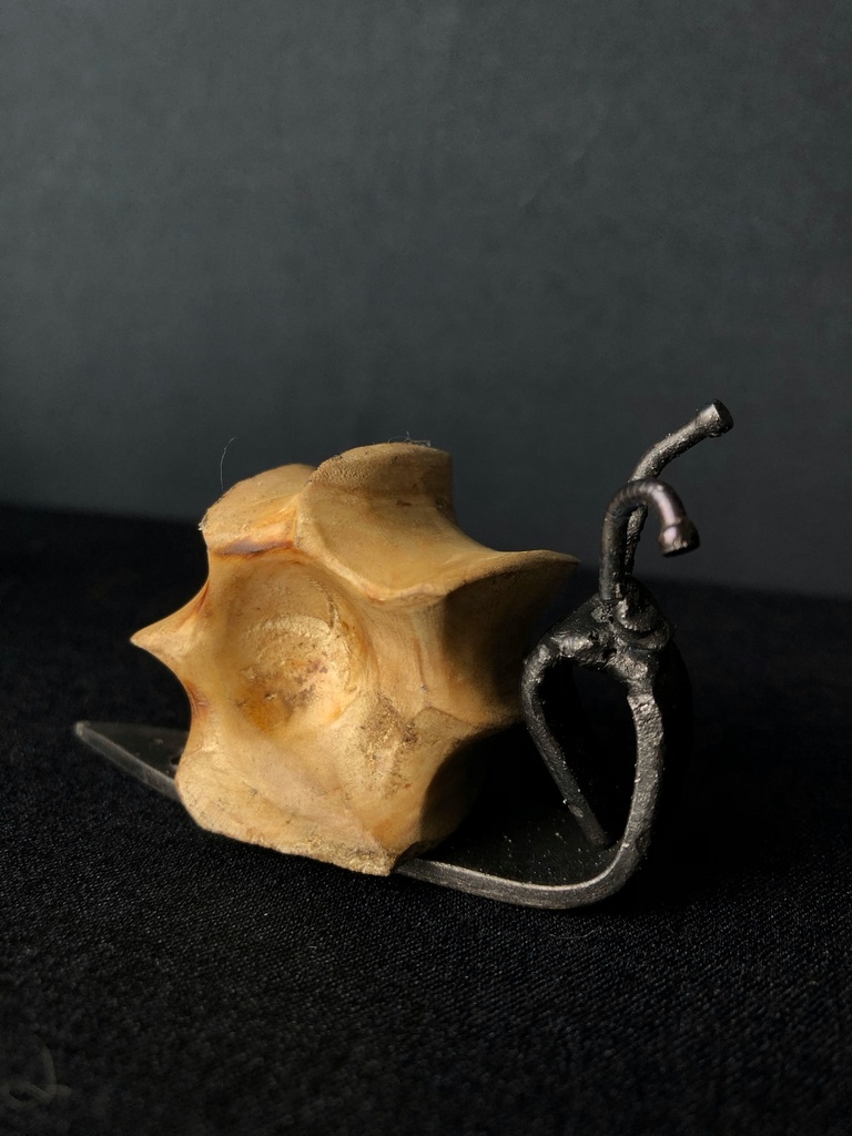 Cornu Baveux magnet