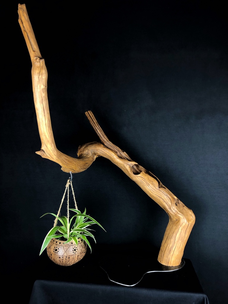 Balance