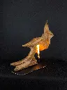 Fly