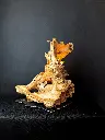 Céphalé