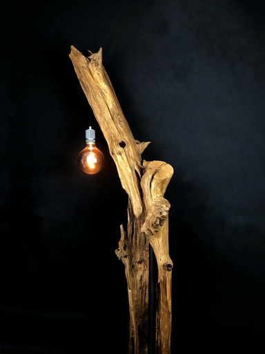 Vestige
